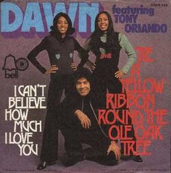 	Tie a Yellow Ribbon 'Round the Ole Oak Tree - Tony Orlando and Dawn	